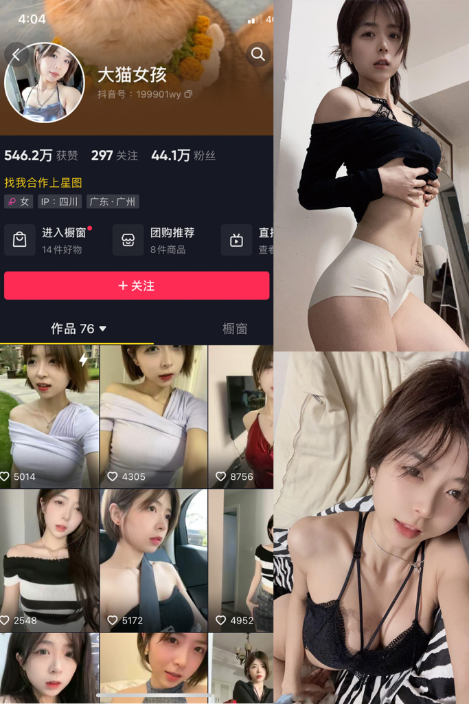 抖音 大猫女孩 微密圈  解压密码为：zses.xyz-投梦社