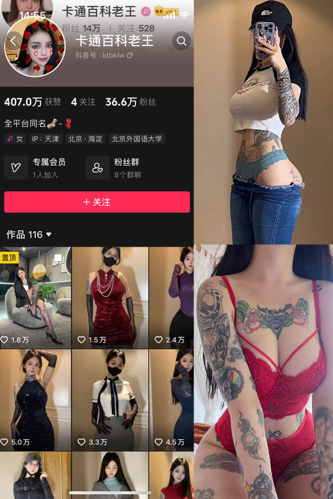 抖音 卡通百科老王 微密圈  解压密码为：zses.xyz-投梦社