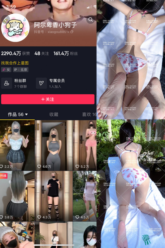 抖音 阿尔卑香小狗子 微密圈解压密码为：zses.xyz-投梦社